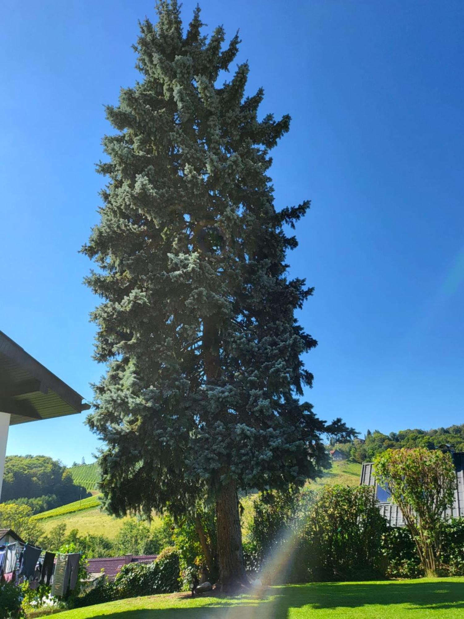 Ferienhaus Zangl Am Seggauberg - Suedsteiermark Λάιμπνιτς Εξωτερικό φωτογραφία