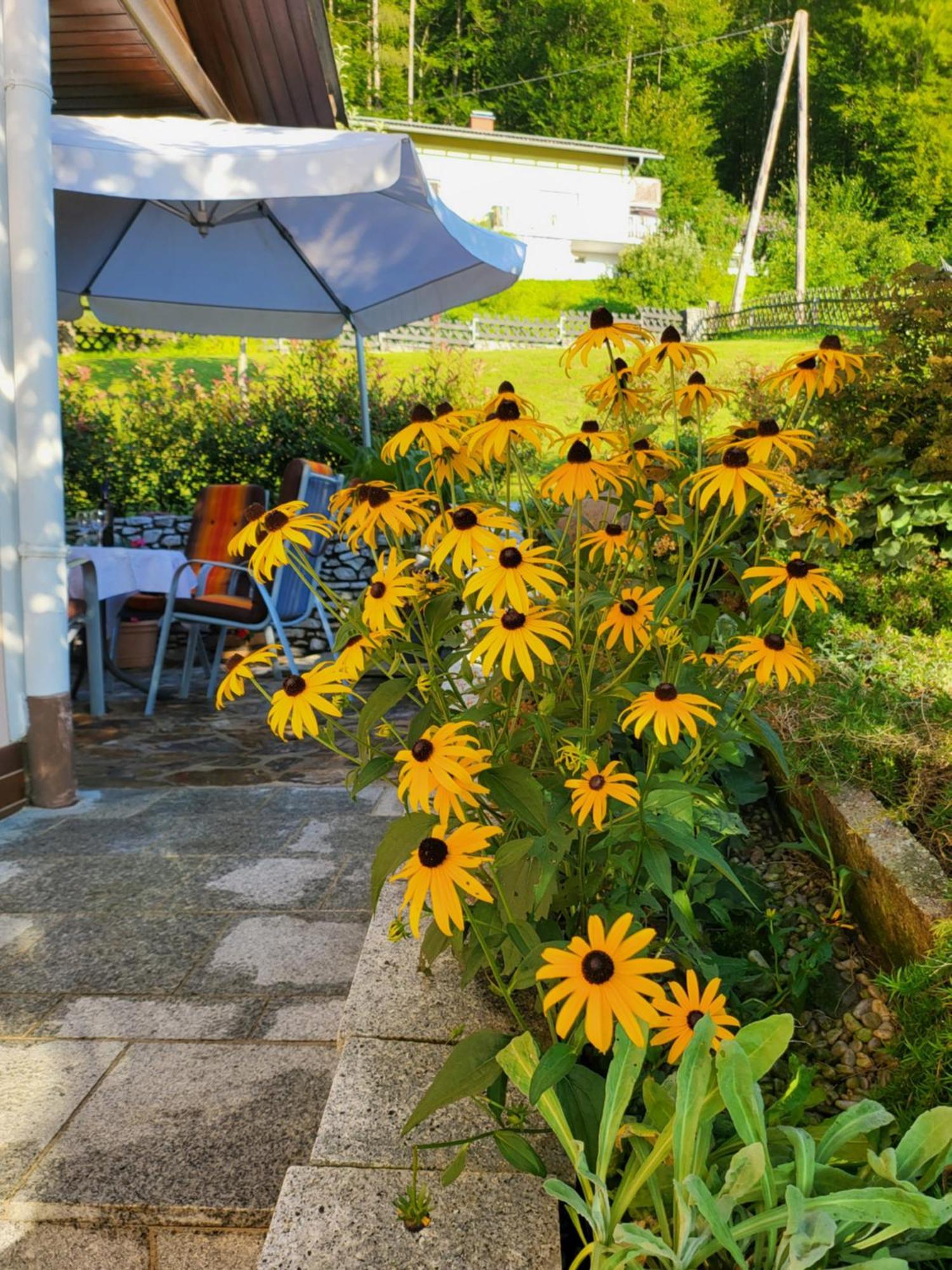 Ferienhaus Zangl Am Seggauberg - Suedsteiermark Λάιμπνιτς Εξωτερικό φωτογραφία